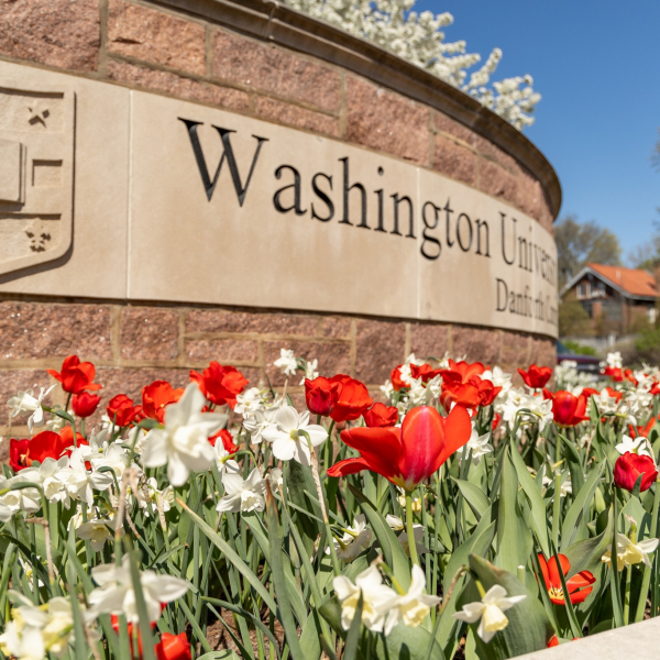Exploring WashU: Images from the 2023 Summer