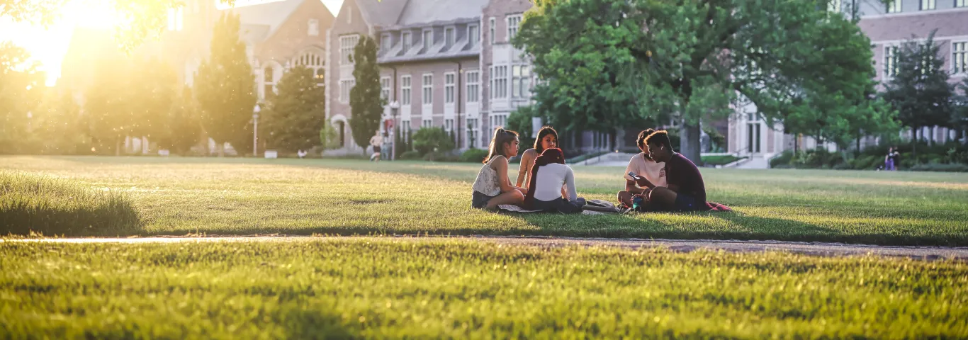 Students sitting on WashU quad