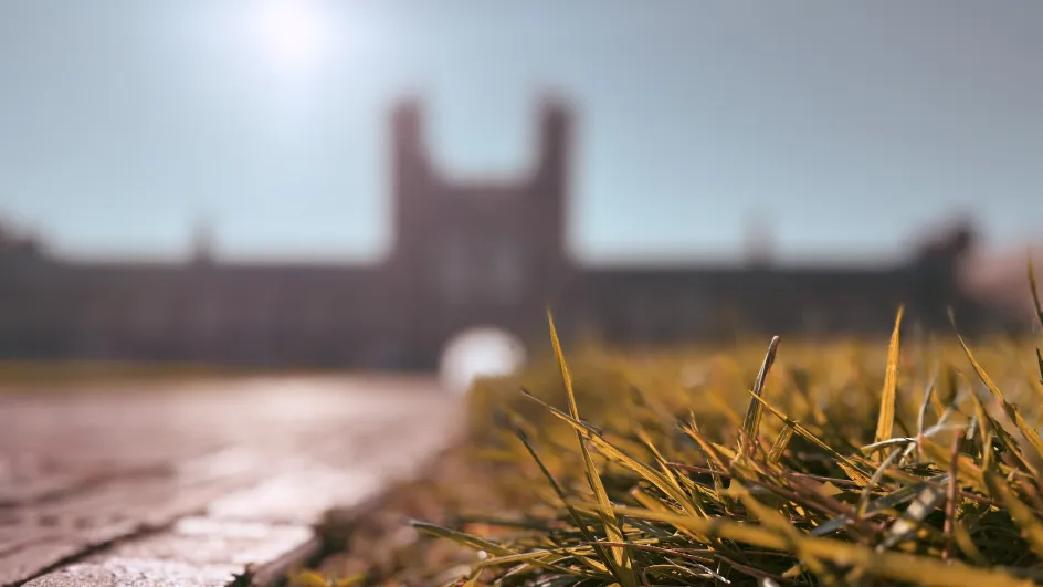 Grass with Brookings Hall in the distance