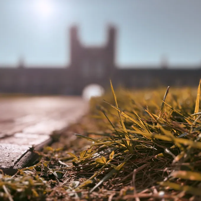 Grass with Brookings Hall in the distance