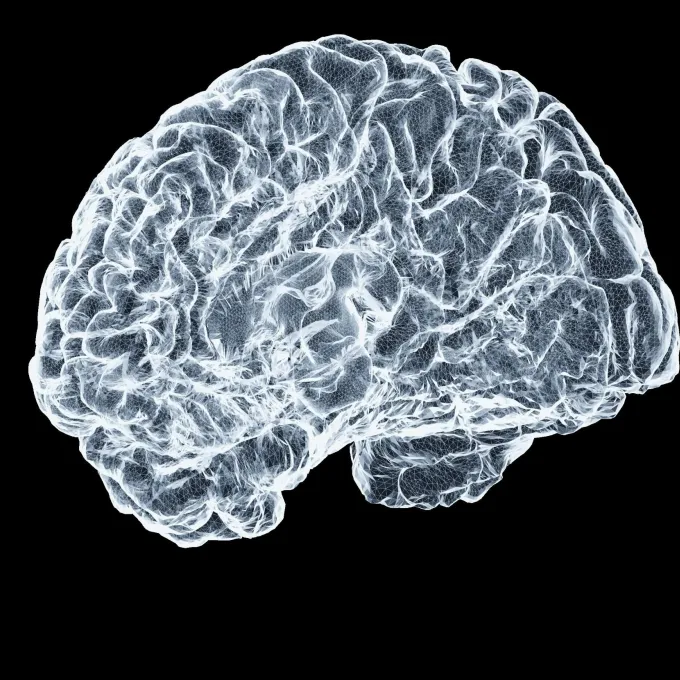 Brain Scan